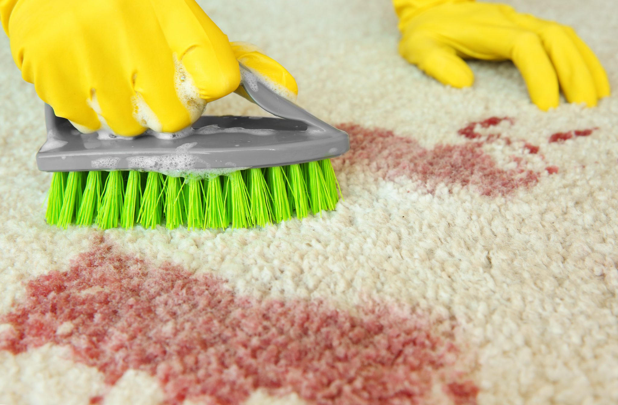 Removing Blood Stains From Carpet Remove Red Stains in Carpet